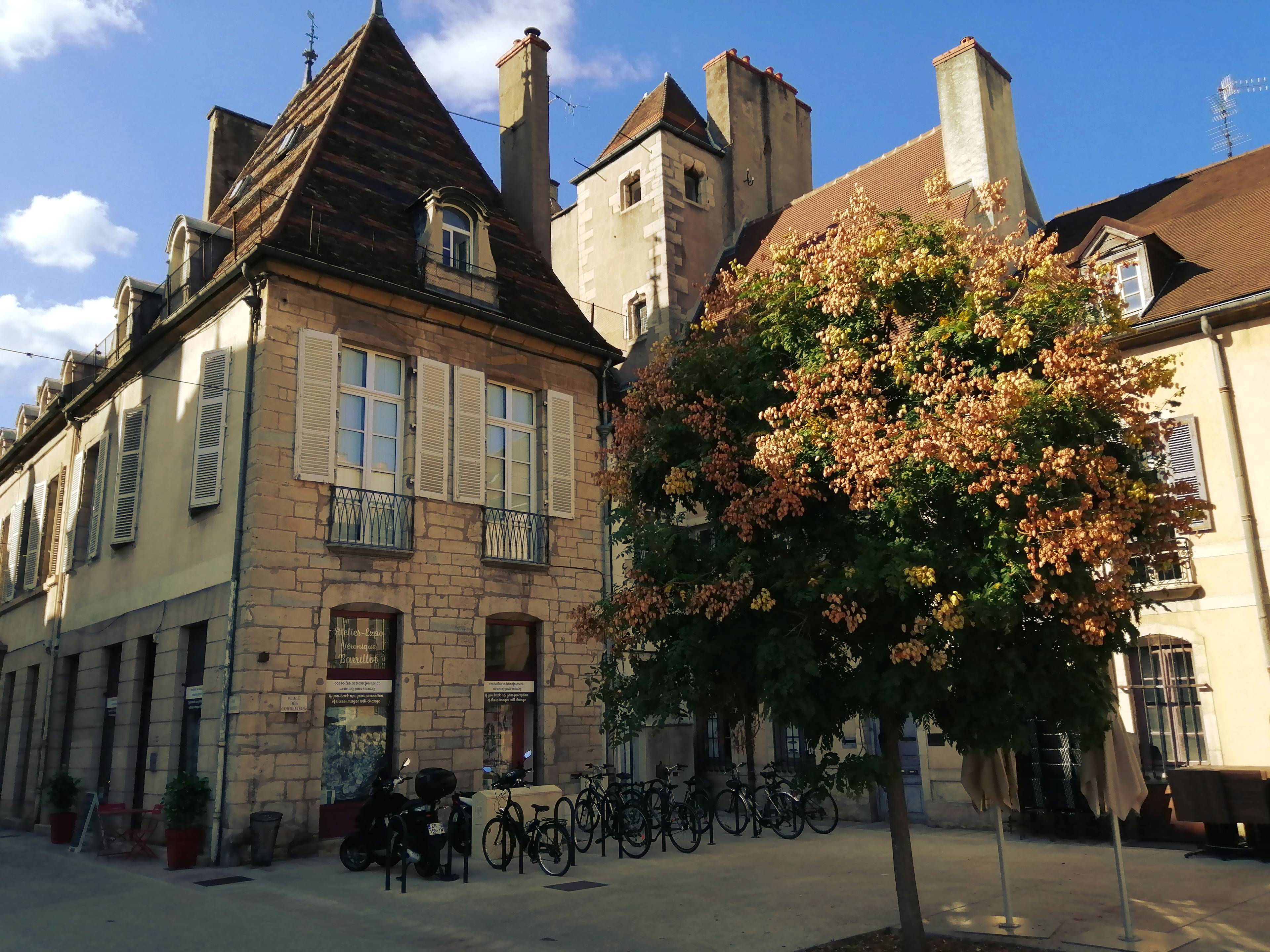 Exceptional Residence in 15th-Century Mansion in Historic Dijon