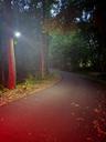 Access road motion lighting