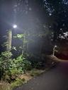 Access road motion lighting