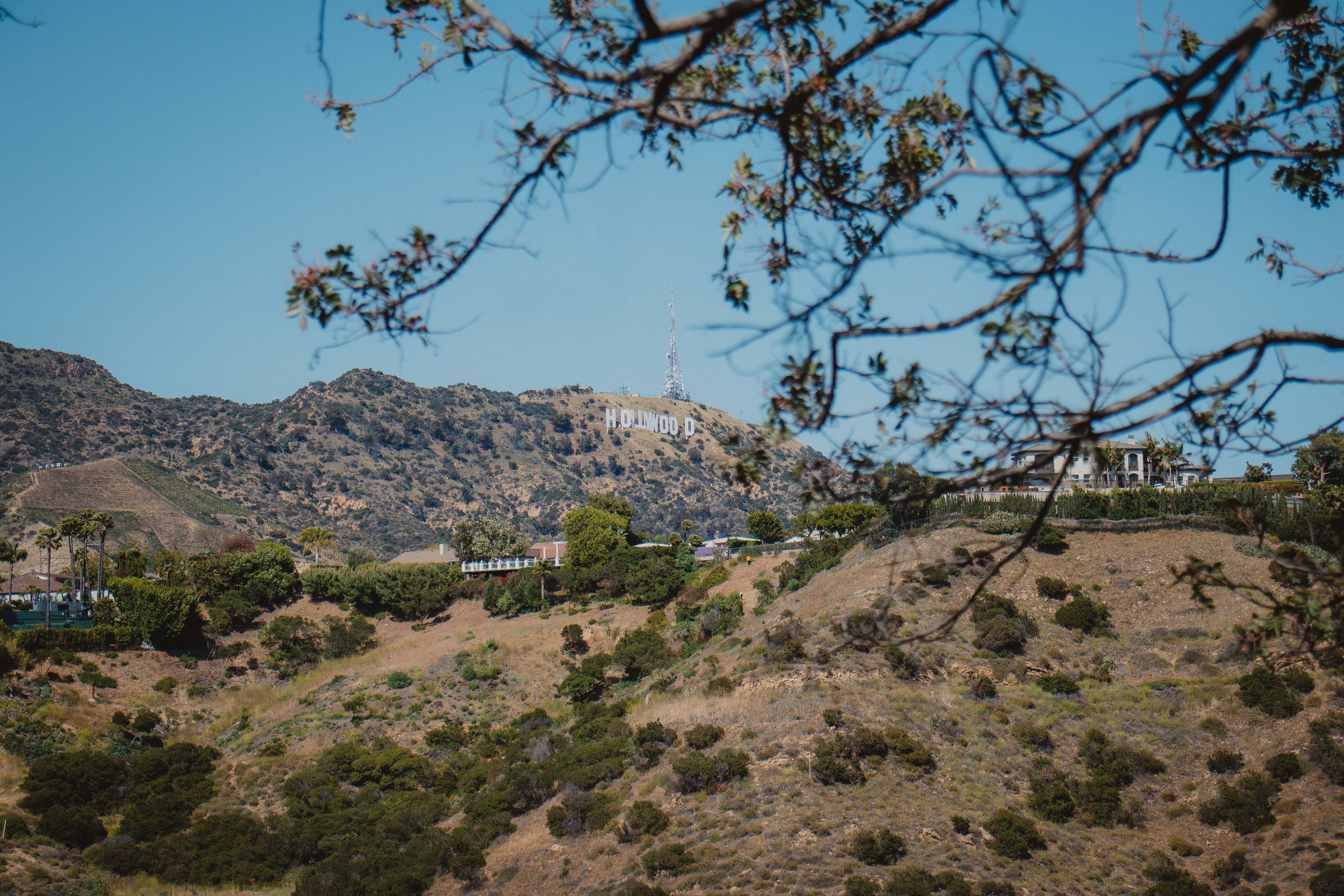 Hollywood Hills Land