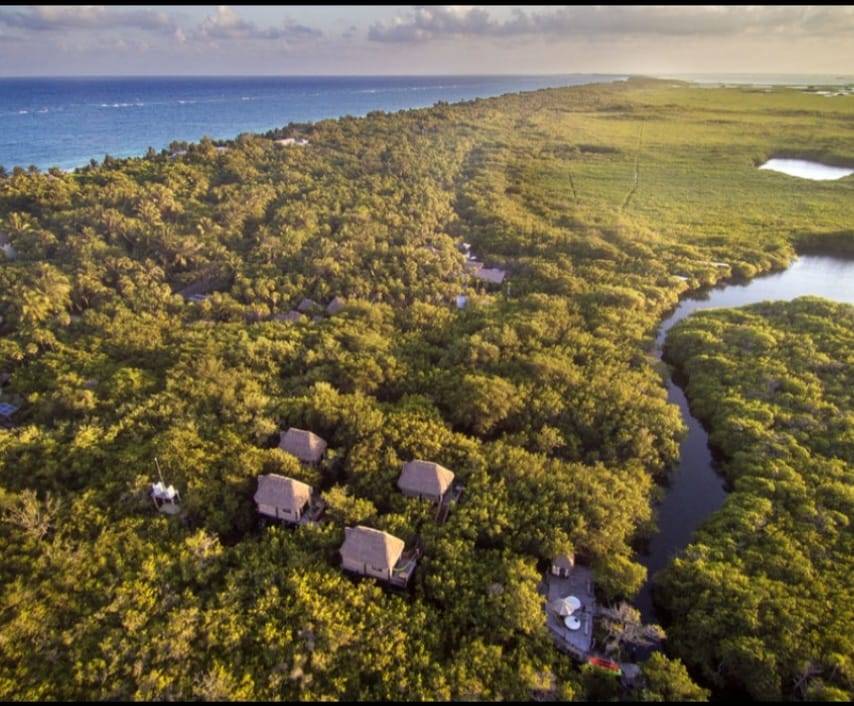 BEST LOCATION LAND  WITH CENOTE TO DEVELOP IN TULUM