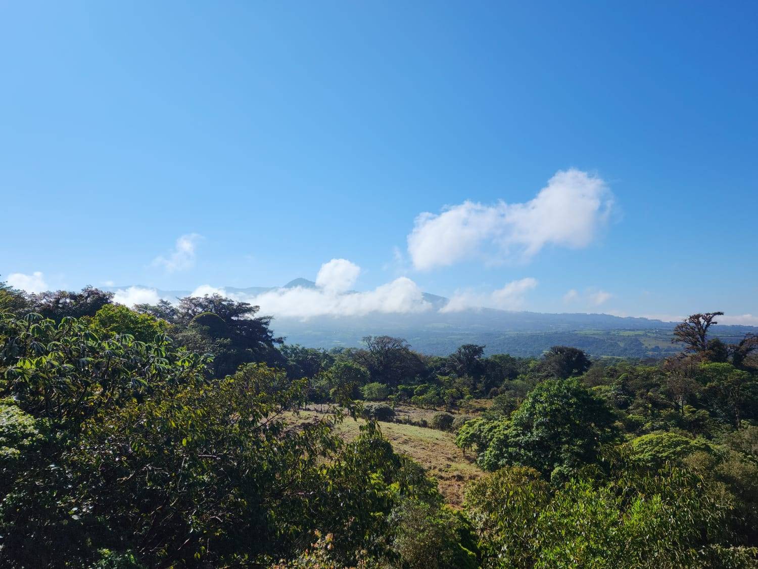 Prime 18.5-Hectare Land in Vasquez de Coronado, Alto Las Palmas, Costa Rica: Unleash Your Vision for a Spectacular Resort or Residential Development!