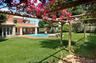 Villa to rent in Vouliagmeni - EXTERIOR 14