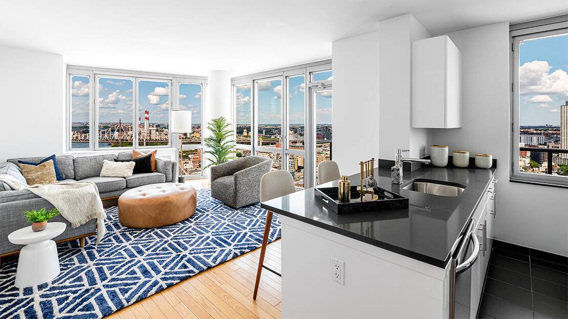 Sunny Long Island City One Bedroom with Manhattan Views