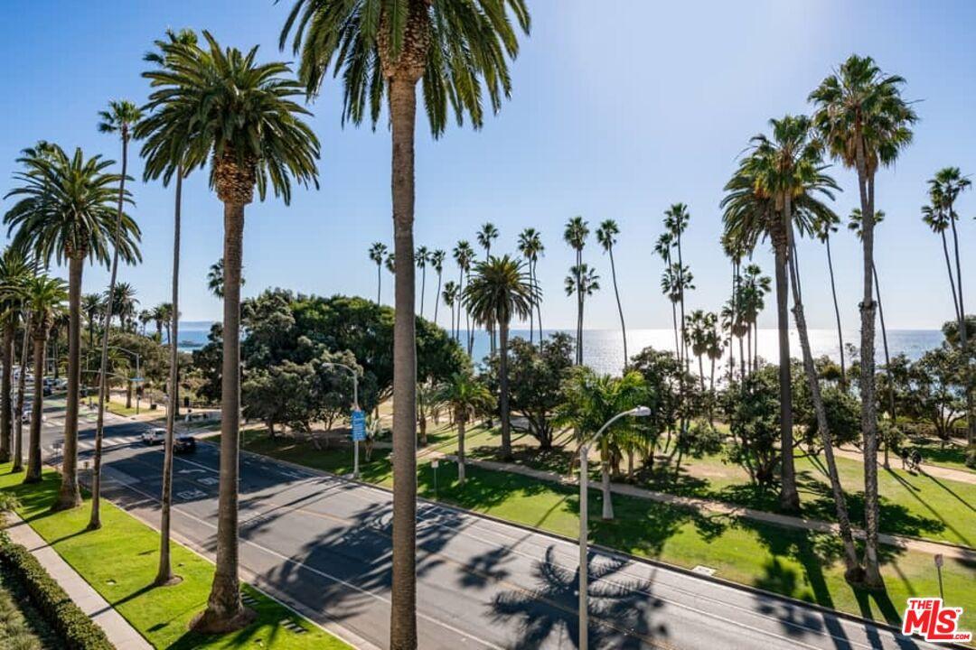 View from Balcony