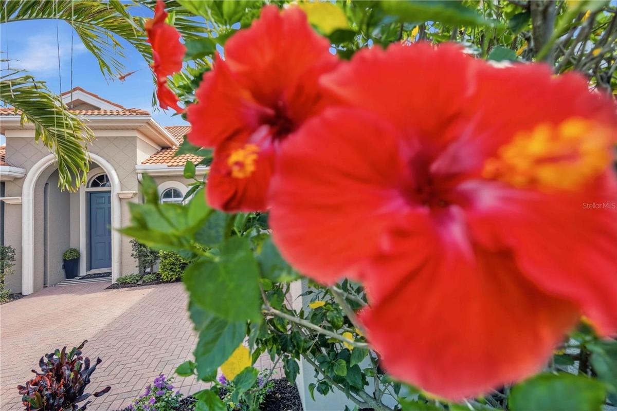 Beautiful landscaping