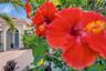Beautiful landscaping
