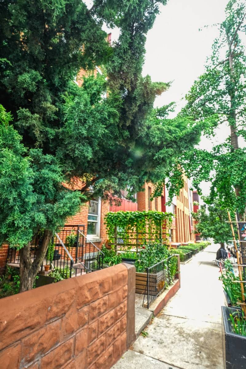 Carroll Gardens is home to so many and a true gem in terms of community, accessibility and amenities.