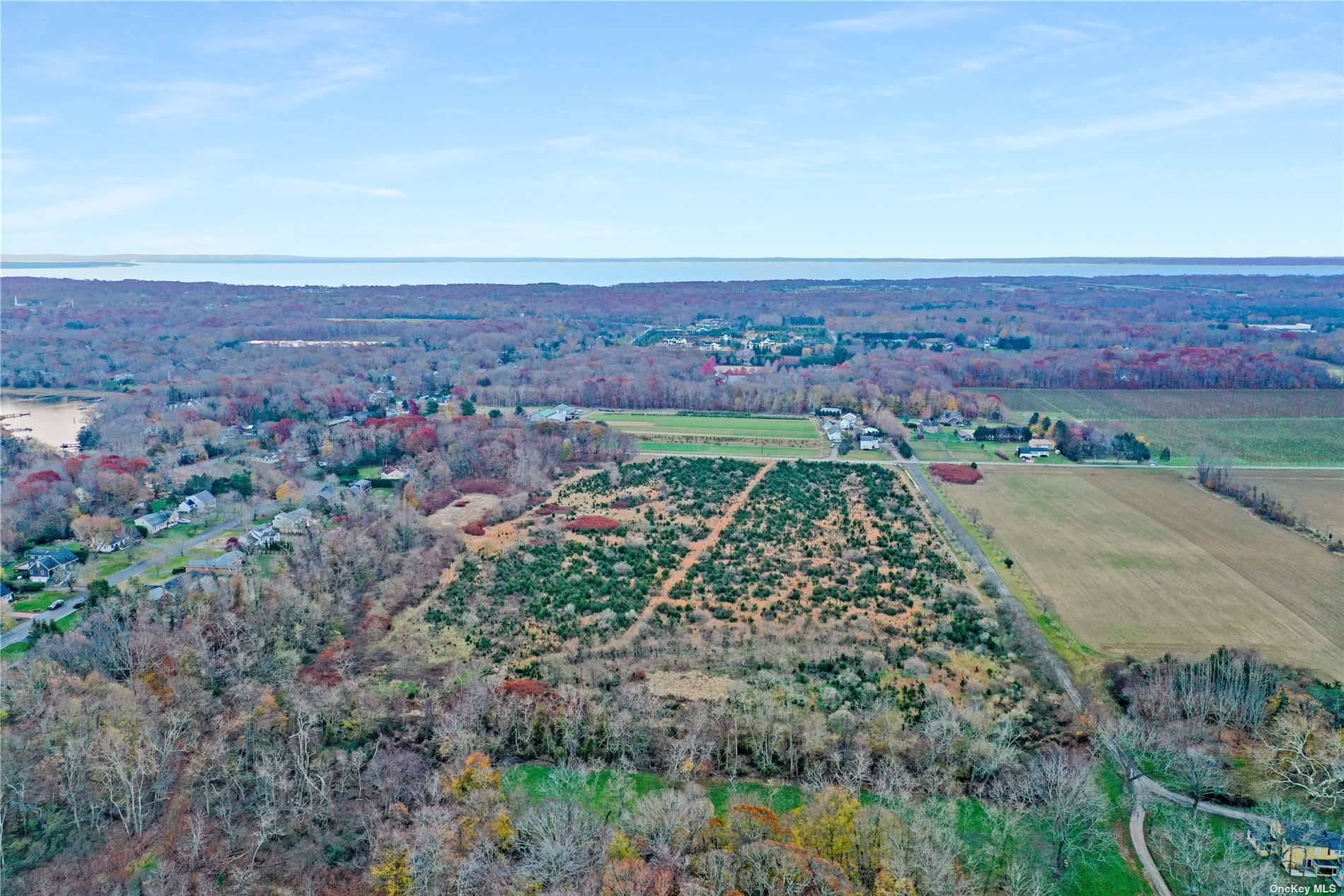 GRAND ESTATE HOME WITH ACRES AND ACRES OF VIRGIN FARMLAND INCLUDED !