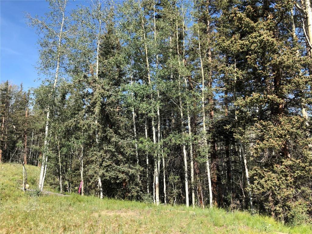 Great opportunity to build the home of your dreams on this spectacular lot in Indian Mountain.