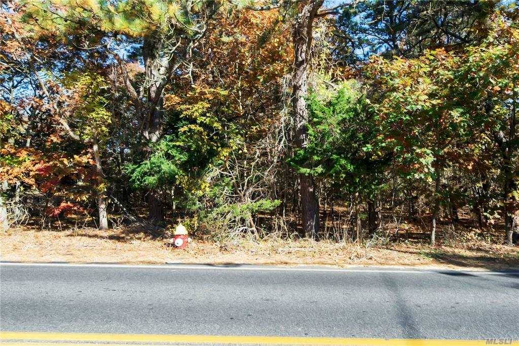 Build your dream home on this spectacular flat wooded lot with possible second story water view.