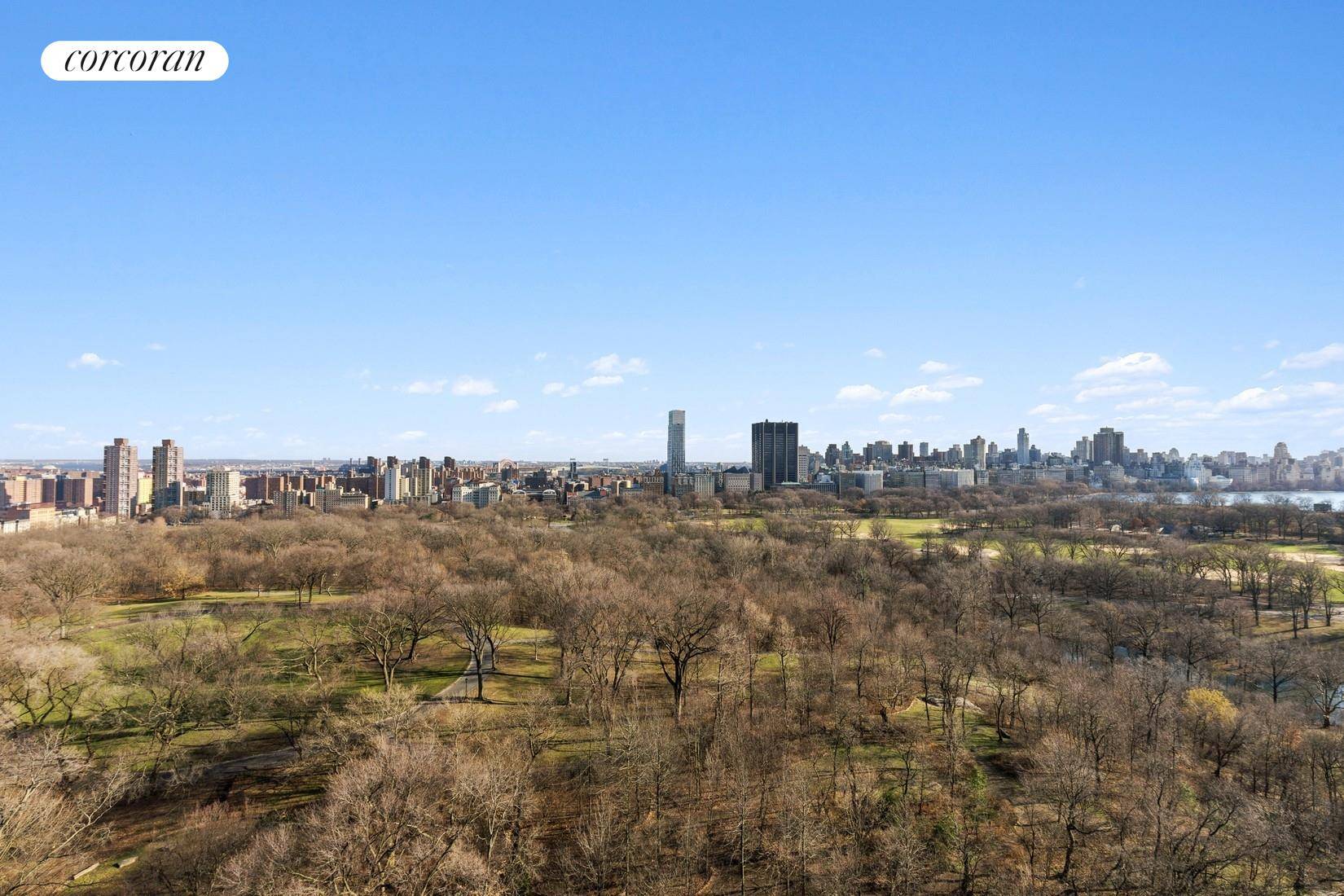 If you are looking for direct Central Park views with abundant outdoor space, then you have found the right apartment.