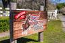Horsepower Ranch