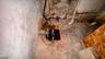 Water Heater
