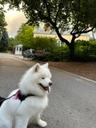 I LOVE the Doggie Parks and Promenade!