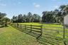 Fenced Paddocks with Water Available
