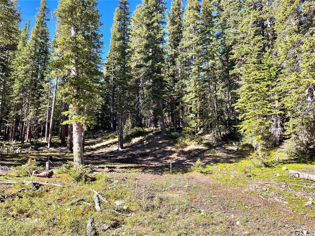 PRICE DROP on this PRIVATE LUSH VIEWS 1 acre in Valley of the Sun Towering old growth pines, gentle slope is dotted w wildflowers among the KinnikKinnik a seasonal stream ...