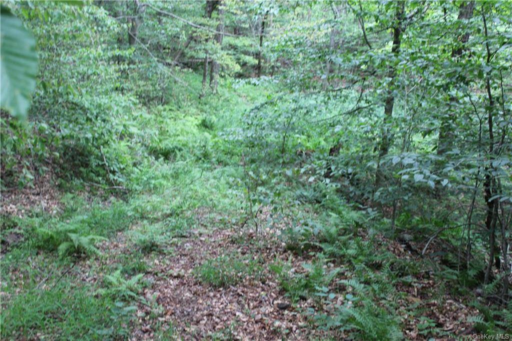 20 Acre Wooded Haven with Stream, Ideal for Cabin !