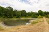 Wetland pond. It could become a very special feature