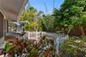 Tropical plants