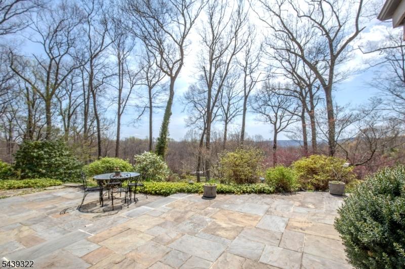 Terrace Views