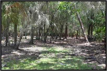 Hunting Stand
