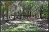 Hunting Stand