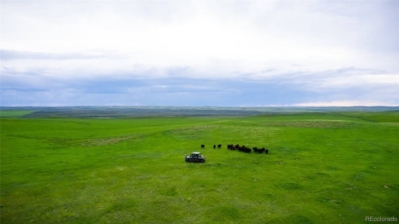 The Timberlake features 15 improved wells, 27 pastures with water in each, over 2000 acres of improved pasture, multiple springs, ponds, stocked fish pond, state of the art corral system, ...