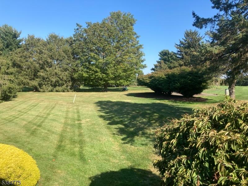 golf course view