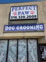 Exterior view of pet washing station and stucco siding
