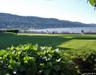 Another view of the waterfront from Piermont Landing.