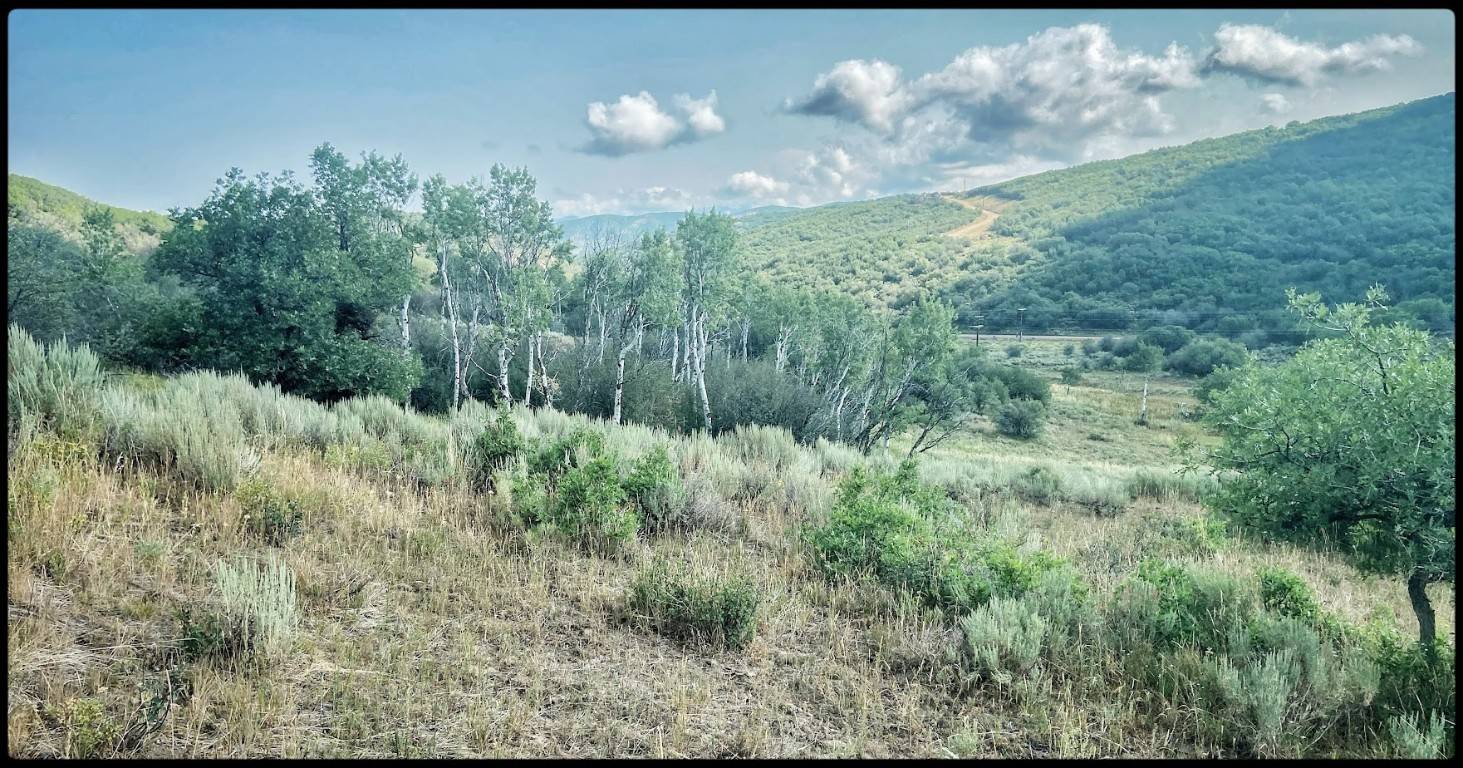 Kick back and relax while being totally surrounded by pleasant views and ample space to play on with this 38 acre property in Crawford Ranch.