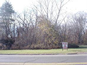 LEVEL COMMERCIAL LOT WITH CITY WATER AND SEWER AVAILABLE IN THE STREET.