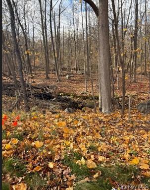 View of undeveloped land
