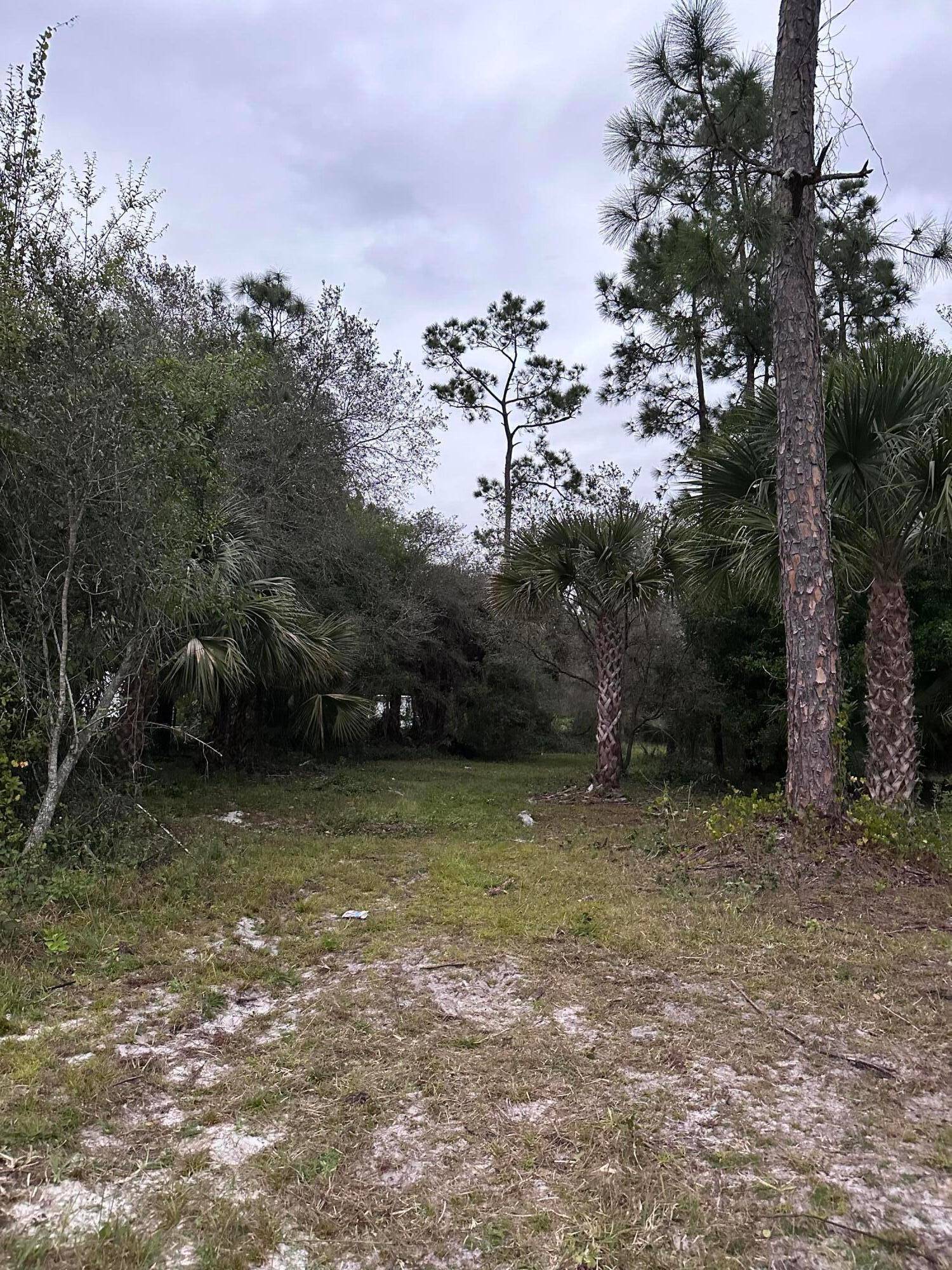 1. 25 acres of land partially cleared and ready to build your dream house in Montura Ranches.
