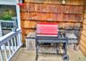 Deck with pet washing station