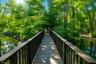 Serene Bridge