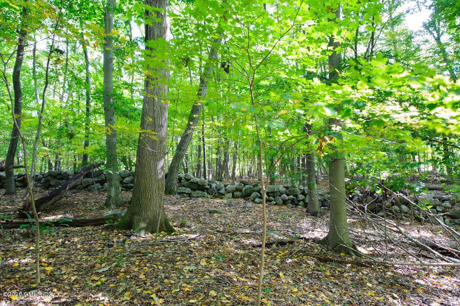 6. 2 acres incredible acres set into a hill on Howard Road on the Greenwich Stamford border !