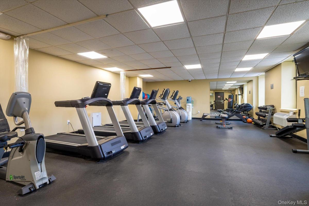 Gym