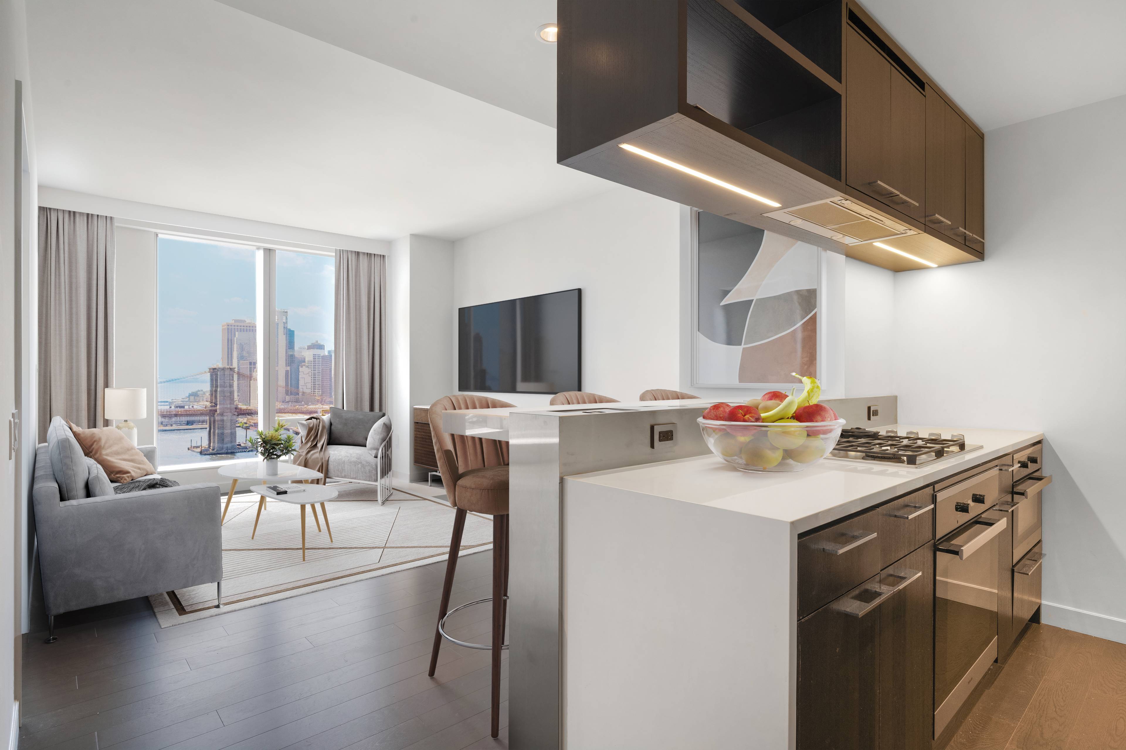 This chic modern 1 Bedroom 1 Bathroom apartment has SPECTACULAR views of the East River, Manhattan Bridge, Brooklyn Bridge and Financial District.