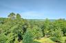Terrrace View