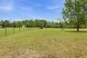 Fenced Paddock With Shelter