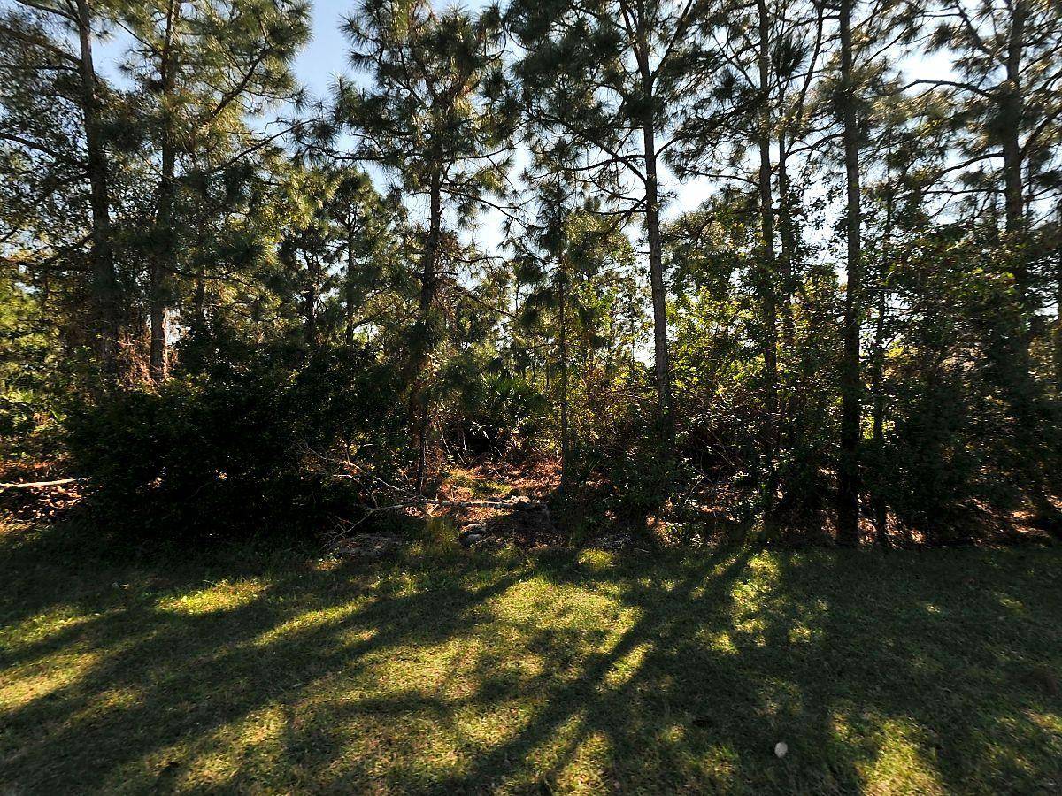 Look no further ! High dry oversize lot Lot SqFt 16.