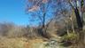 View of nature with a wooded view