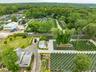 Bird's eye view of a forest