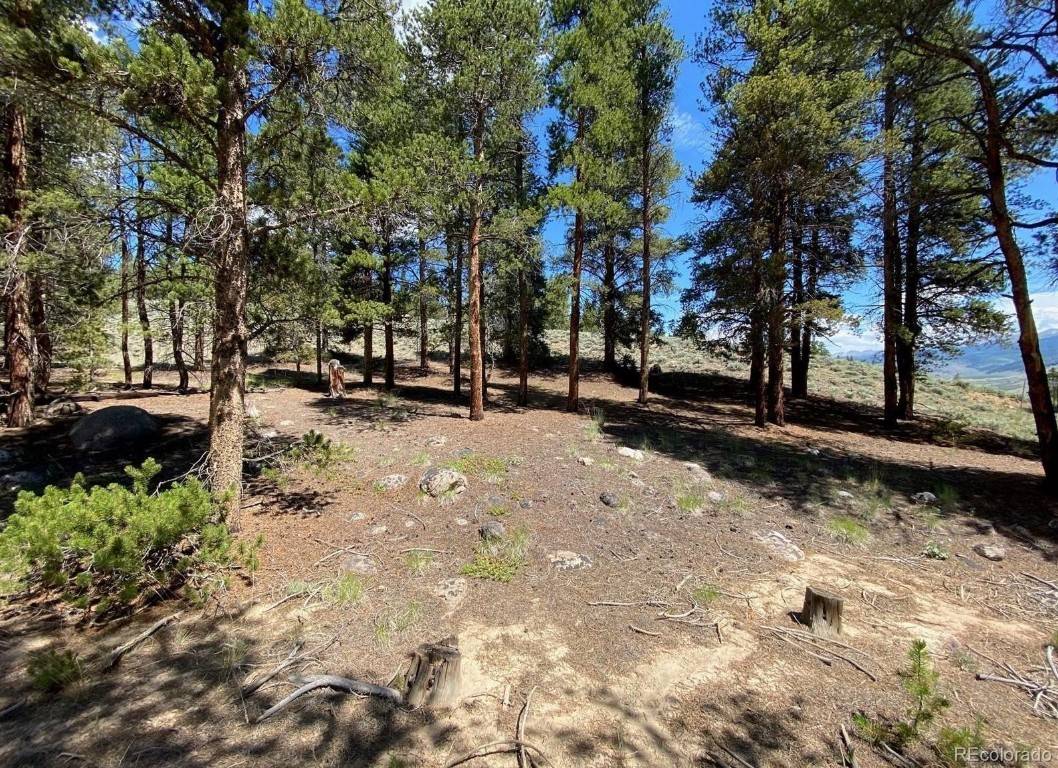 Lovely 0. 3 acre lot in the Pan Ark subdivision in Twin Lakes.