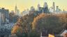 Skyline view