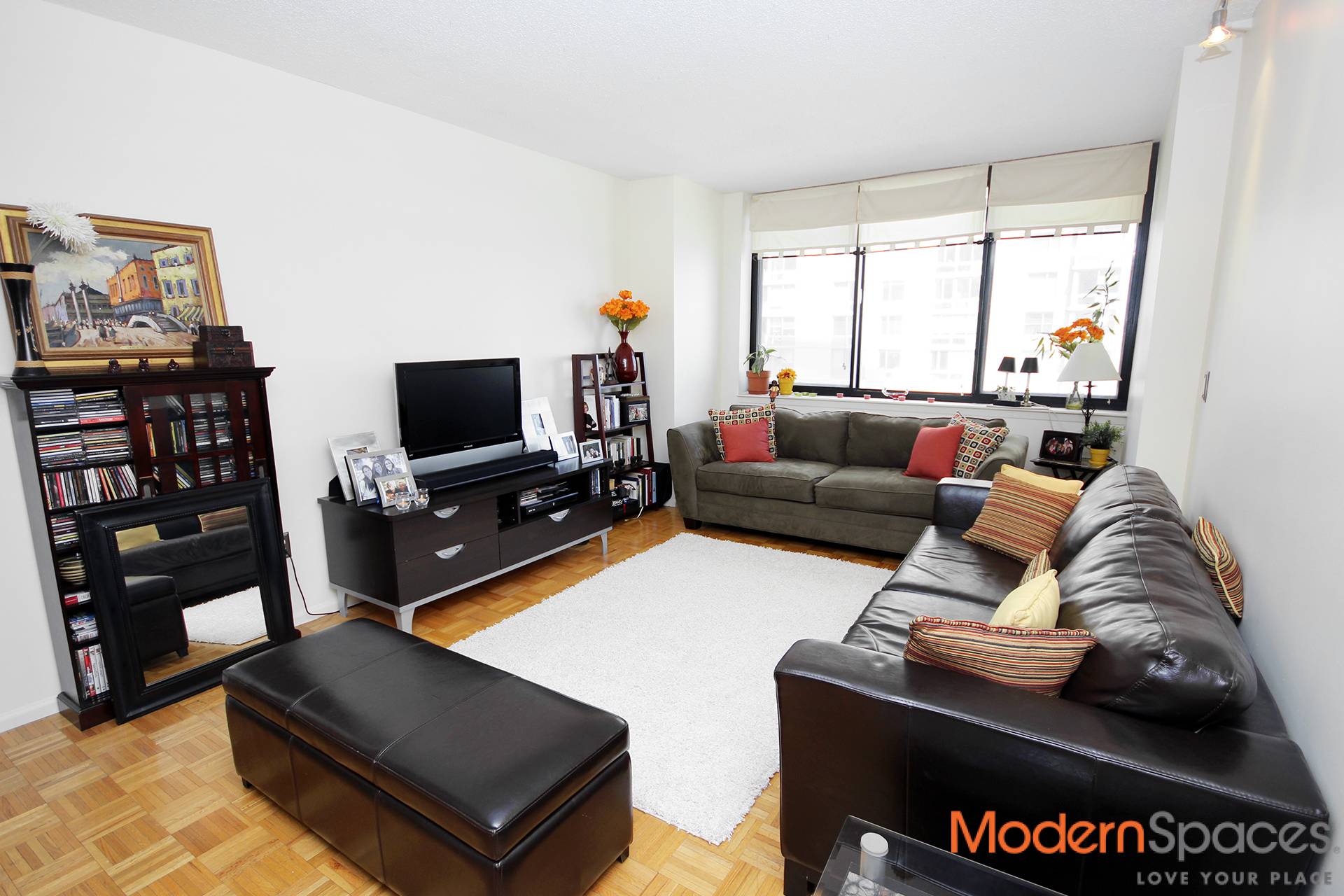 Own in LIC ! 1 Bedroom In LIC Closets GaloreThis spacious 1 bedroom has it all !