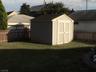 Fenced in back yard with shed