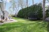Backyard view